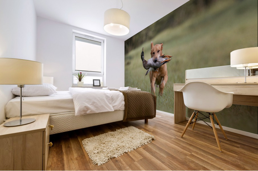 Lou Mural print