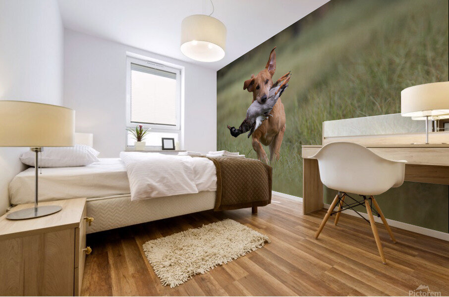 Lou Mural print