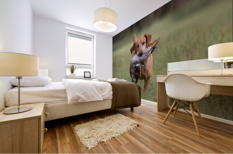 Lou Mural print