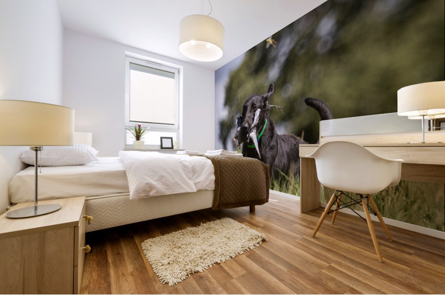 Lainey Mural print