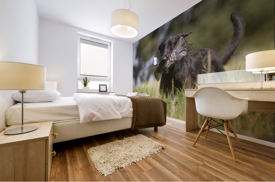 Lainey Mural print
