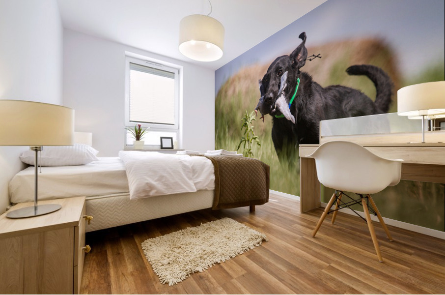 Lainey Mural print
