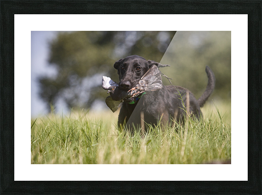 Lainey Picture Frame print