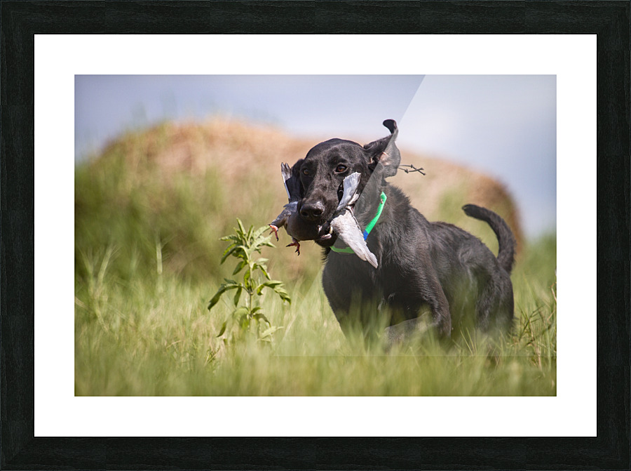 Lainey Picture Frame print