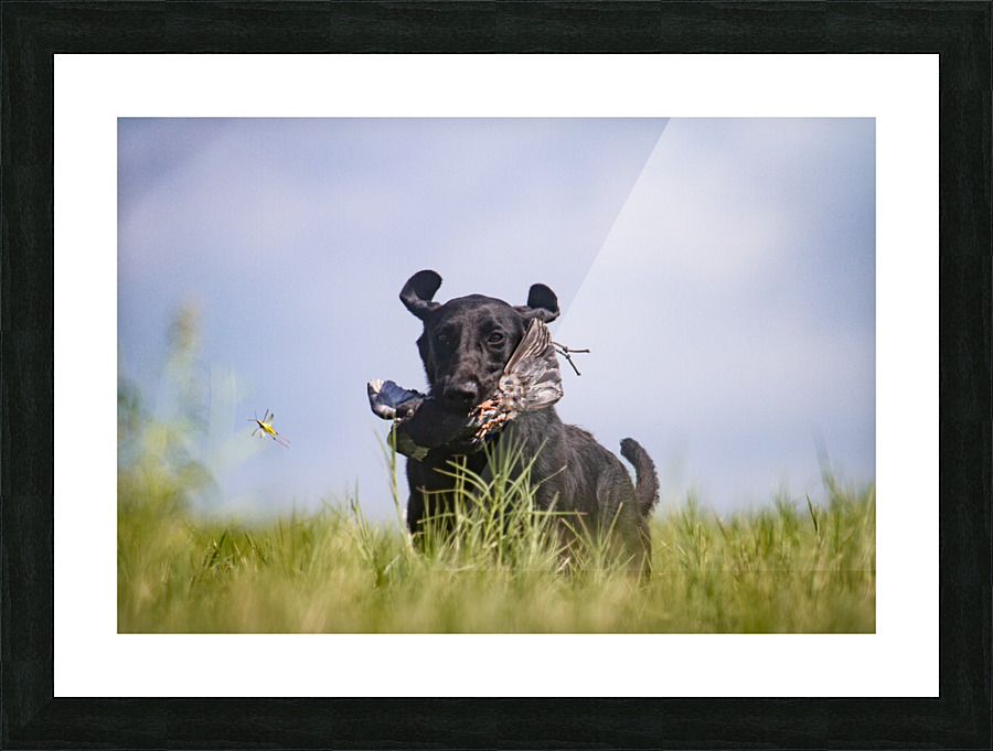 Lainey Picture Frame print