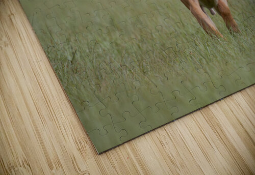 Lou Taylor Burson puzzle