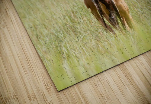 Lou Taylor Burson puzzle