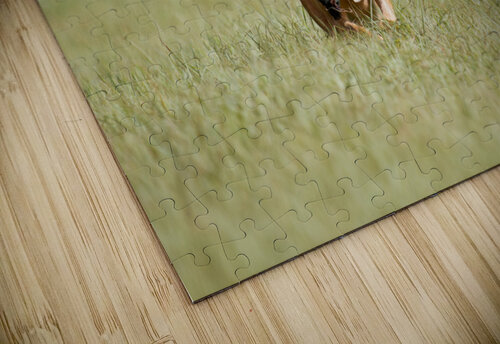 Lou Taylor Burson puzzle