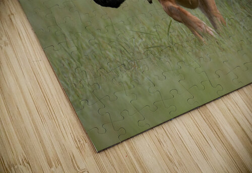 Lou Taylor Burson puzzle