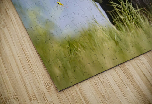 Lainey Taylor Burson puzzle