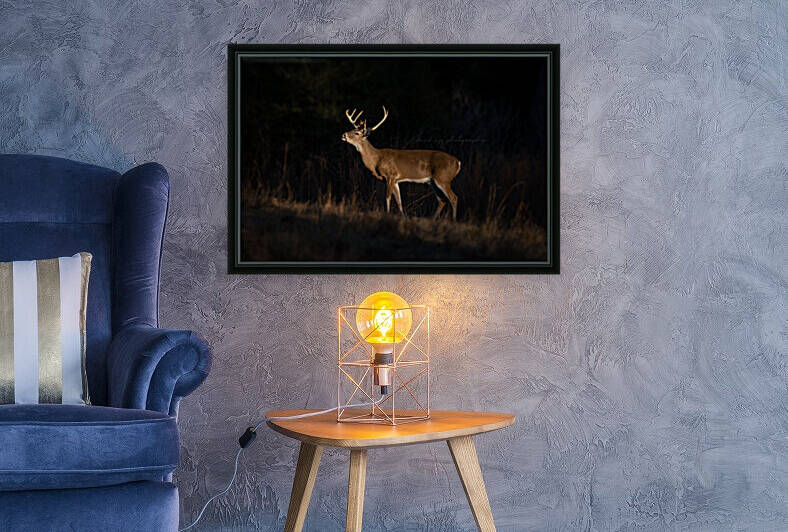 Non Typical Whitetail Buck by Taylor Burson