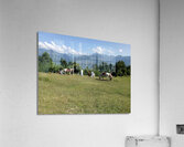 Summer sunny day is in mountain landscape. Acrylic Print