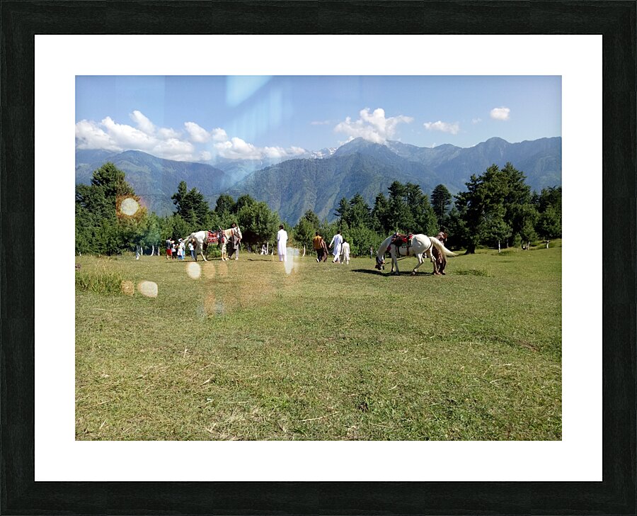 Summer sunny day is in mountain landscape. Picture Frame print