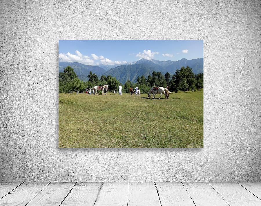 Summer sunny day is in mountain landscape. Wall Preview