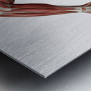 Canadian Strength — Anatomy of Motion Metal print