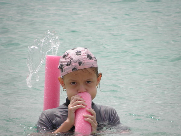 pirate Digital Download