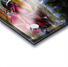 drifting Acrylic print