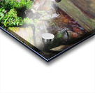 Secret spot Acrylic print