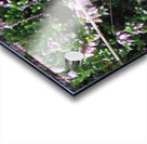 stealth Acrylic print