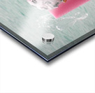 pirate Acrylic print