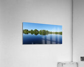 aquatic graphic Acrylic Print
