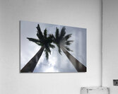 love Acrylic Print