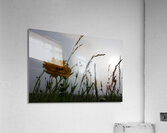 only in color Acrylic Print