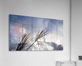 with the wind Acrylic Print