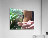 encounter Acrylic Print