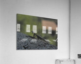 graceful Acrylic Print