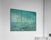fish gang Acrylic Print