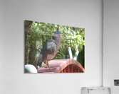 the heron and the bridge Acrylic Print