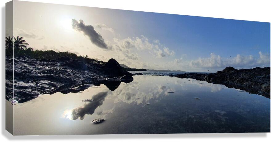 carribean dream Canvas Print