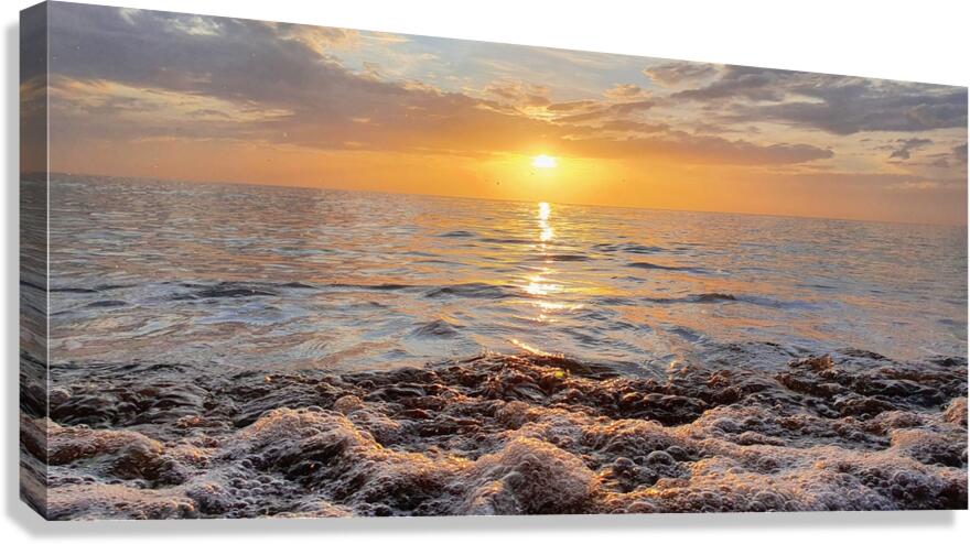 foam Canvas Print