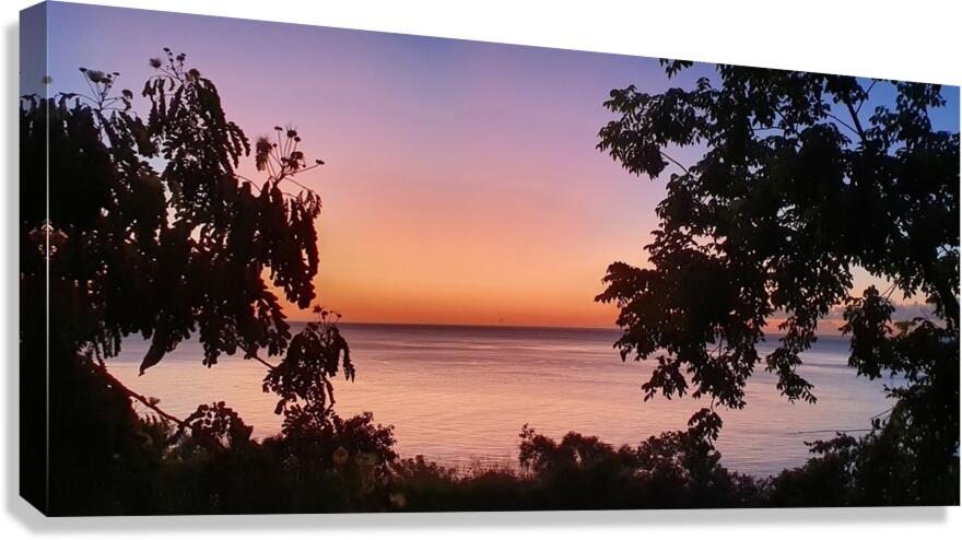 panorama Chinese shadow Canvas Print
