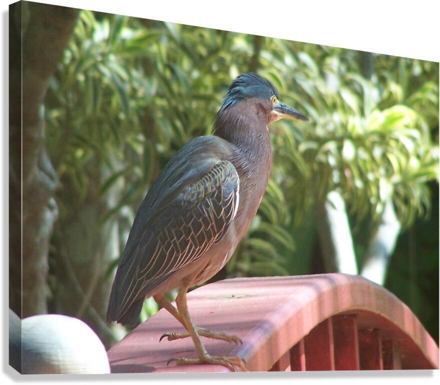 the heron and the bridge Canvas Print