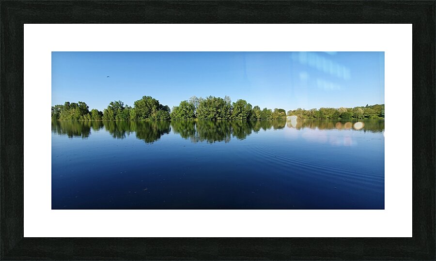 aquatic graphic Picture Frame print