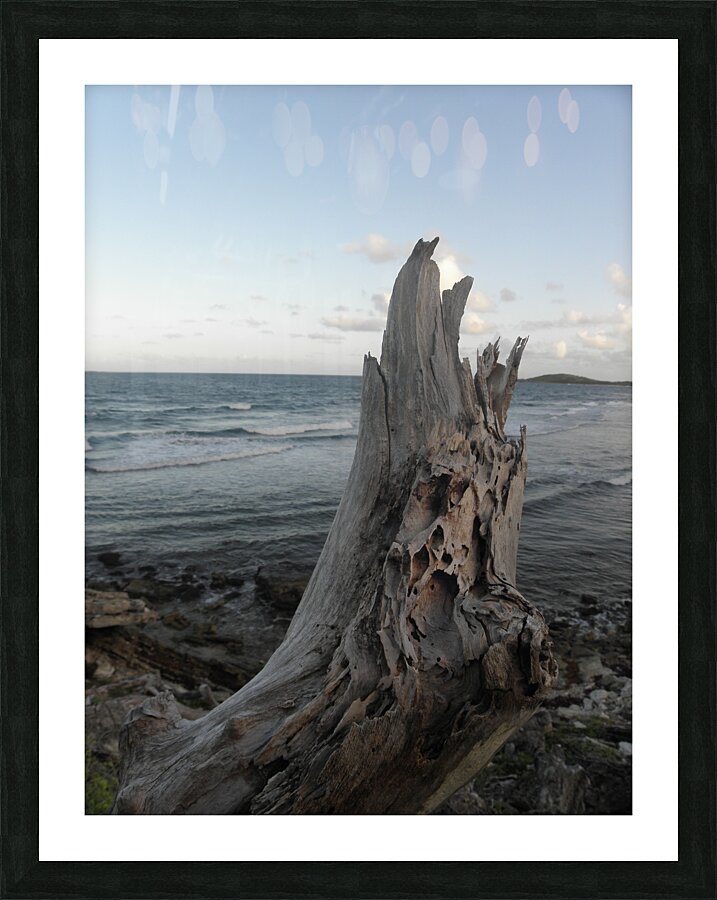 bay keeper Picture Frame print