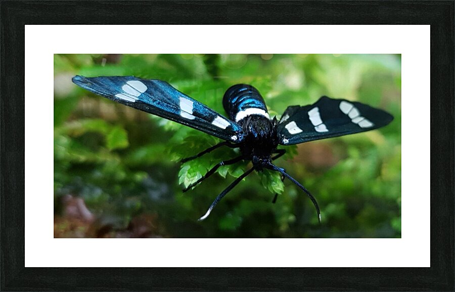 color gradient Picture Frame print