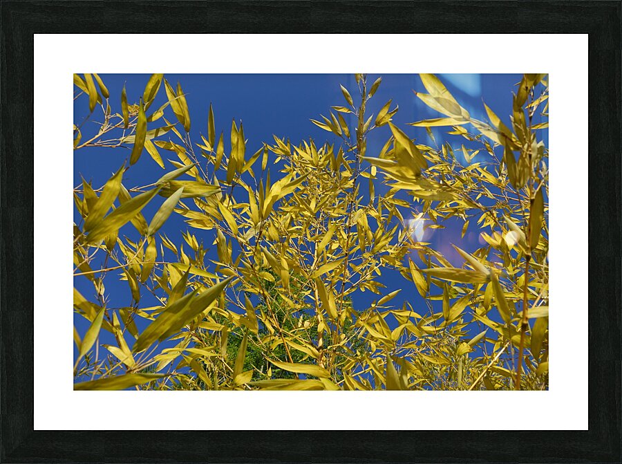 blend Picture Frame print