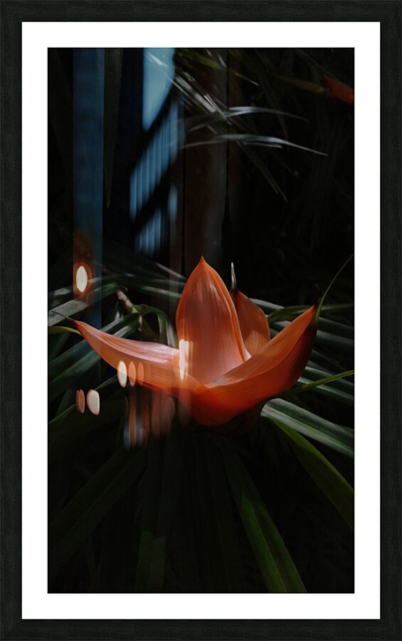 evening dress Picture Frame print