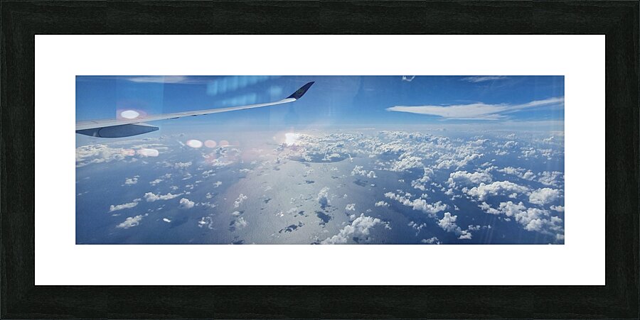 fly dream Picture Frame print