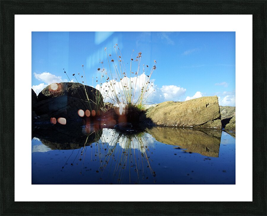 Dream puddle Picture Frame print