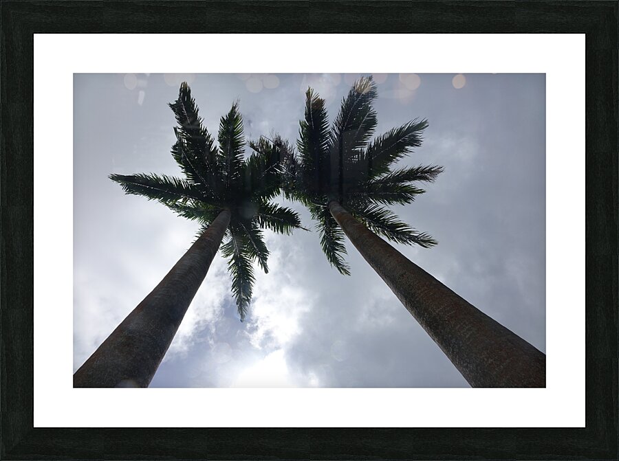 love Picture Frame print