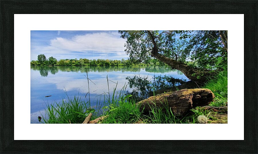lake in spring Picture Frame print