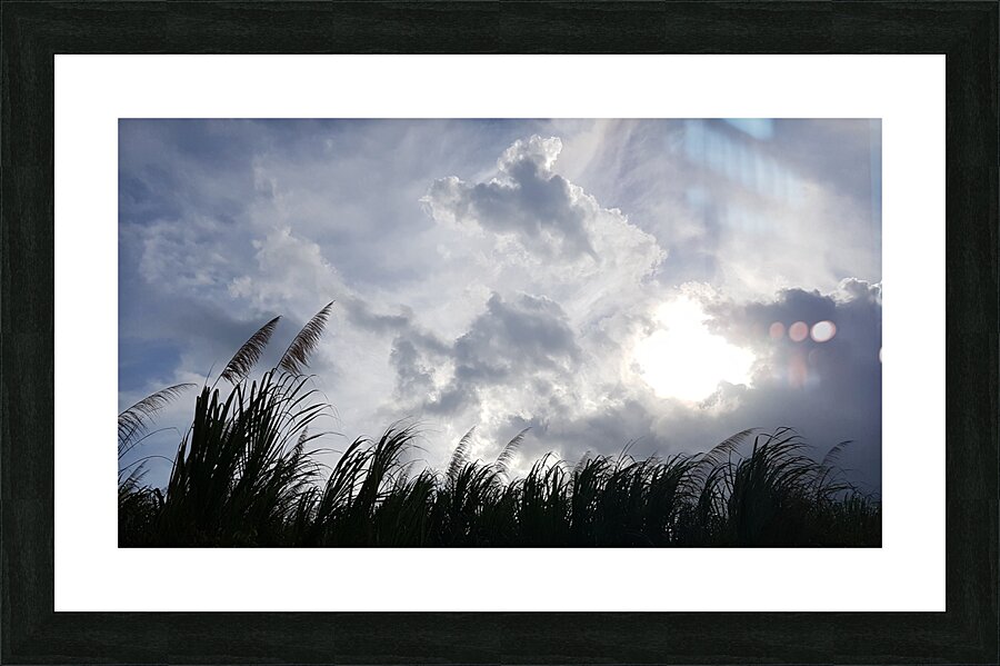 in the wind Picture Frame print