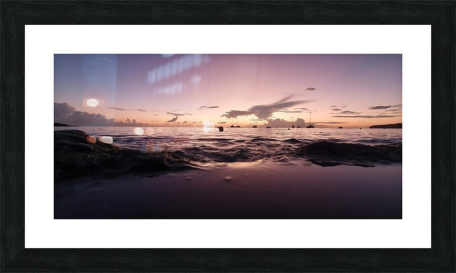 marine sweetness Picture Frame print