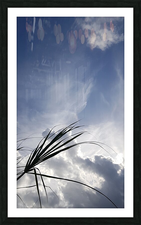 head in the clouds Picture Frame print