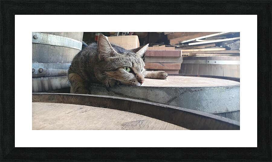 life is hard Picture Frame print