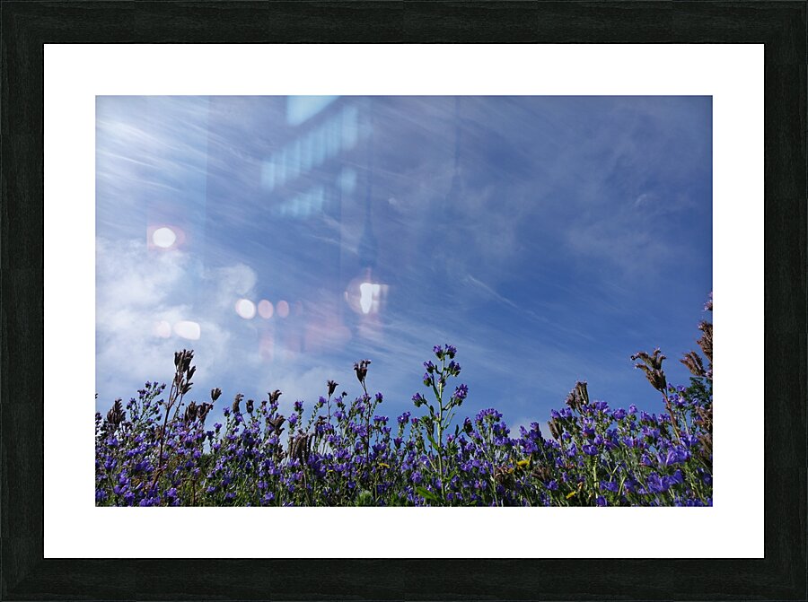 meeting blue Picture Frame print